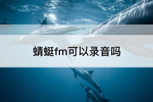 蜻蜓fm可以录音吗