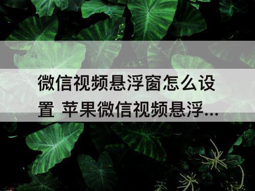 微信视频悬浮窗怎么设置 苹果微信视频悬浮窗怎么设置识图