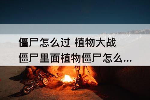 僵尸怎么过 植物大战僵尸里面植物僵尸怎么过?