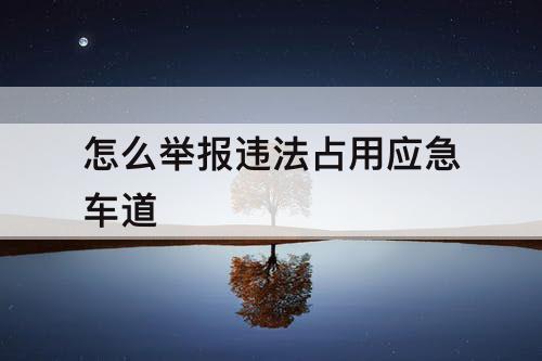 怎么举报违法占用应急车道