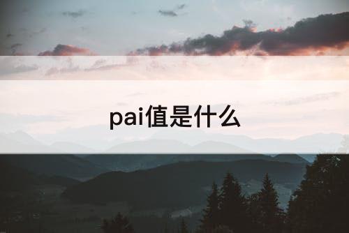 pai值是什么