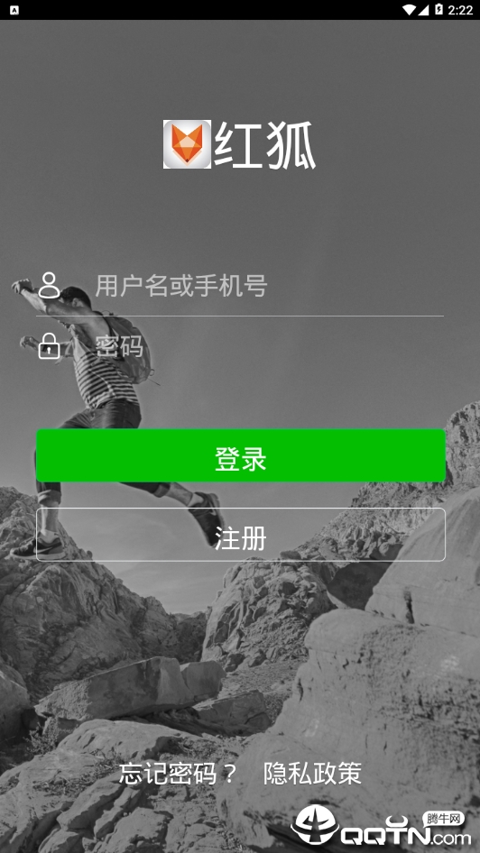 红狐