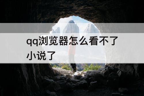 qq浏览器怎么看不了小说了