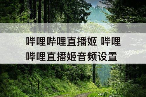 哔哩哔哩直播姬 哔哩哔哩直播姬音频设置