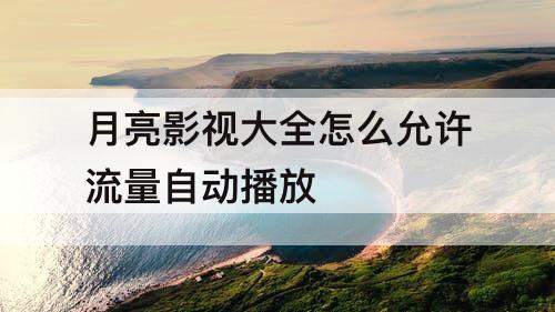 月亮影视大全怎么允许流量自动播放