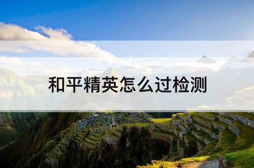 和平精英怎么过检测