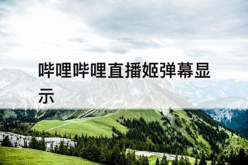 哔哩哔哩直播姬弹幕显示