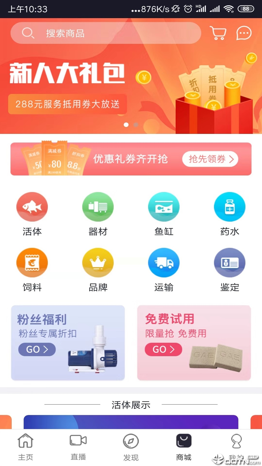 鱼生