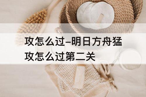 攻怎么过-明日方舟猛攻怎么过第二关