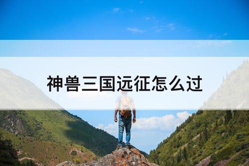 神兽三国远征怎么过
