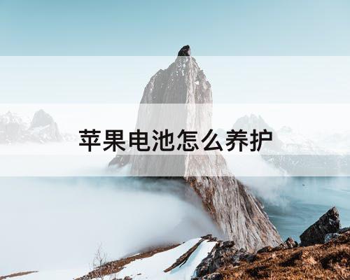 苹果电池怎么养护