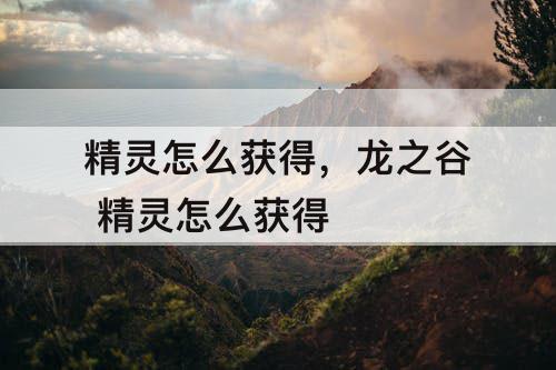 精灵怎么获得，龙之谷 精灵怎么获得