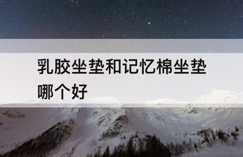乳胶坐垫和记忆棉坐垫哪个好