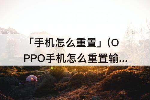 「手机怎么重置」(OPPO手机怎么重置输入法记忆)