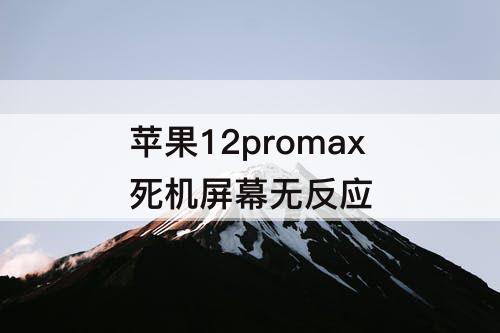苹果12promax死机屏幕无反应