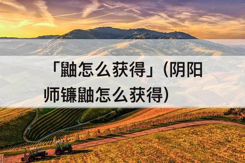 「鼬怎么获得」(阴阳师镰鼬怎么获得)