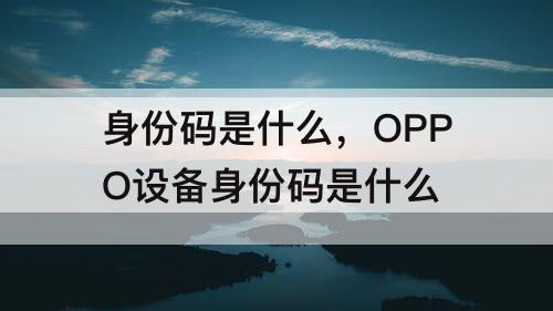 身份码是什么，OPPO设备身份码是什么