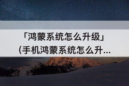 「鸿蒙系统怎么升级」(手机鸿蒙系统怎么升级)