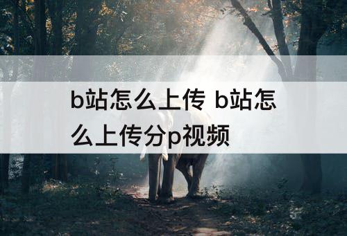 b站怎么上传 b站怎么上传分p视频