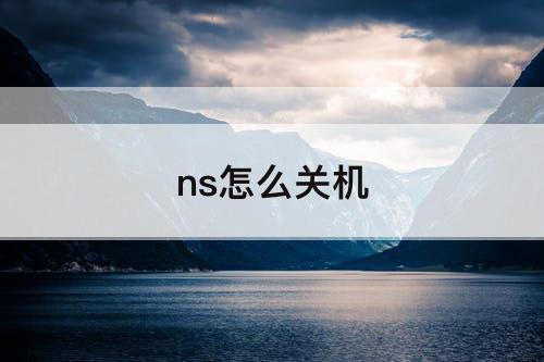 ns怎么关机