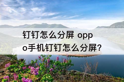 钉钉怎么分屏 oppo手机钉钉怎么分屏?