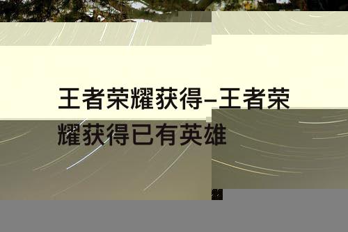 王者荣耀获得-王者荣耀获得已有英雄
