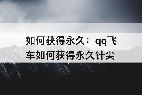 如何获得永久：qq飞车如何获得永久针尖