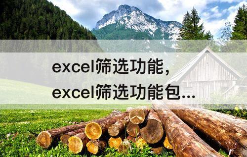 excel筛选功能，excel筛选功能包括什么和高级筛选