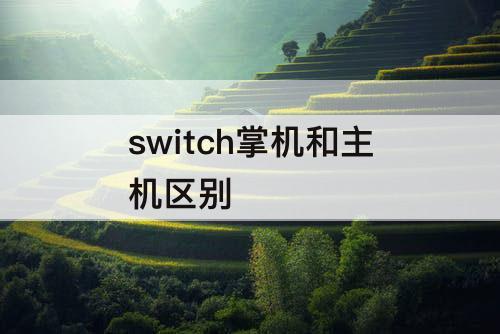 switch掌机和主机区别