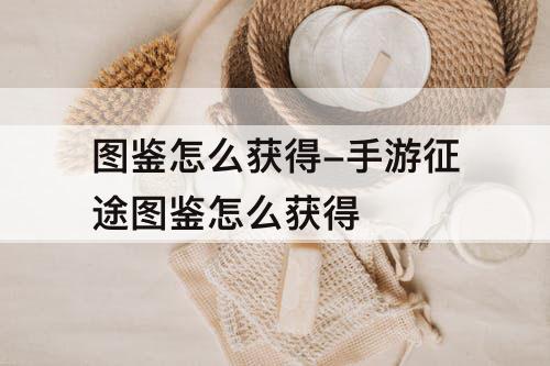 图鉴怎么获得-手游征途图鉴怎么获得