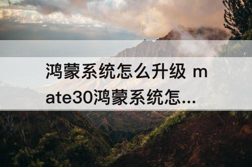 鸿蒙系统怎么升级 mate30鸿蒙系统怎么升级