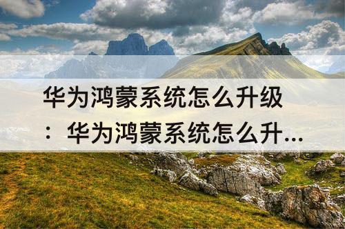 华为鸿蒙系统怎么升级：华为鸿蒙系统怎么升级nova8pro