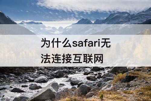 为什么safari无法连接互联网