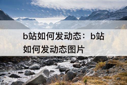 b站如何发动态：b站如何发动态图片