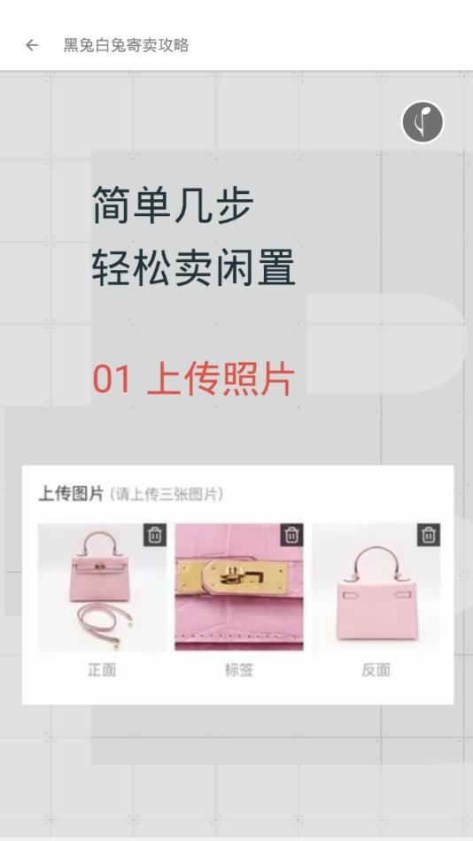 黑兔白兔闲置截图