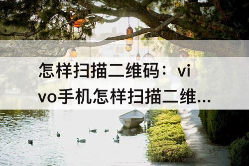 怎样扫描二维码：vivo手机怎样扫描二维码