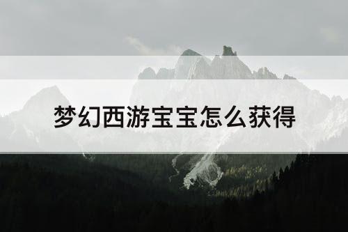 梦幻西游宝宝怎么获得