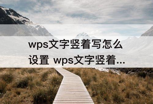 wps文字竖着写怎么设置 wps文字竖着写怎么设置成横着写