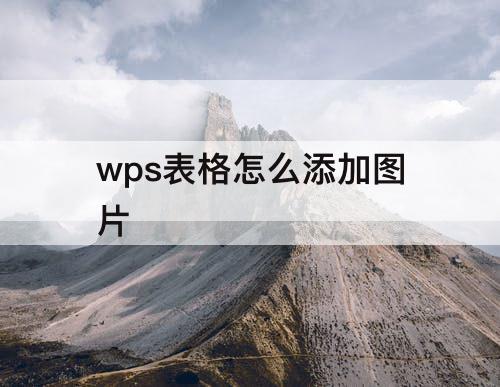 wps表格怎么添加图片