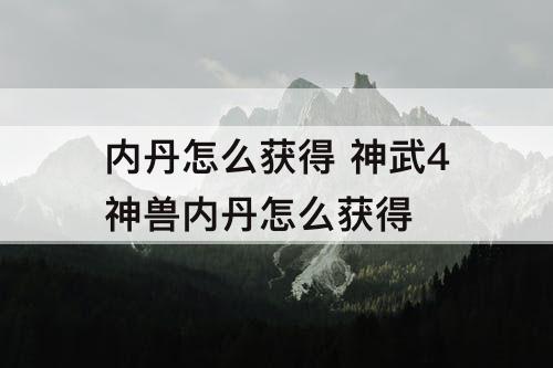 内丹怎么获得 神武4神兽内丹怎么获得
