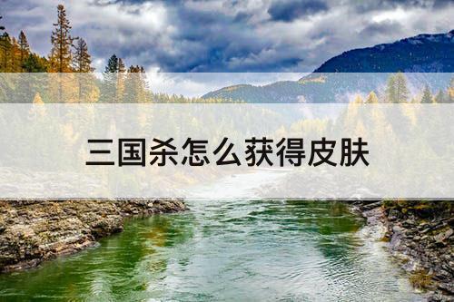 三国杀怎么获得皮肤