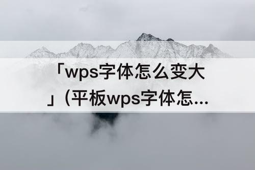 「wps字体怎么变大」(平板wps字体怎么变大)