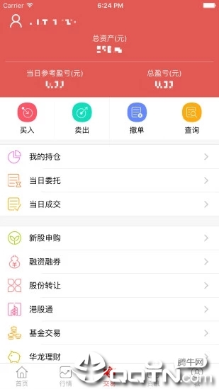 华龙点金财富版截图