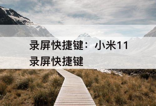 录屏快捷键：小米11录屏快捷键