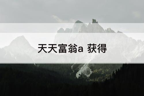天天富翁a 获得