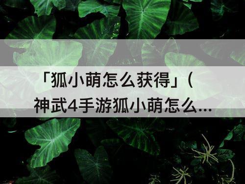 「狐小萌怎么获得」(神武4手游狐小萌怎么获得)
