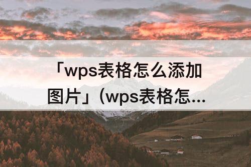 「wps表格怎么添加图片」(wps表格怎么添加图片链接)