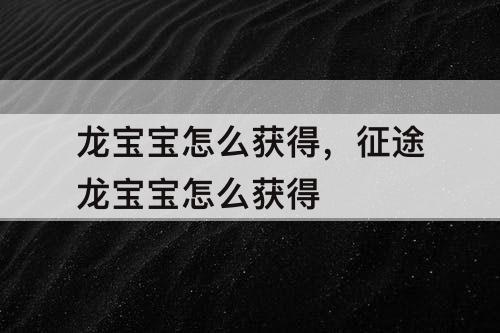 龙宝宝怎么获得，征途龙宝宝怎么获得