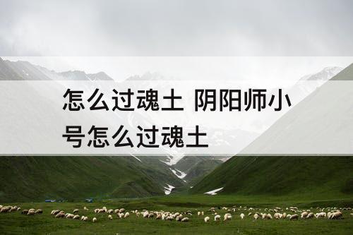 怎么过魂土 阴阳师小号怎么过魂土