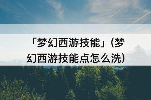 「梦幻西游技能」(梦幻西游技能点怎么洗)